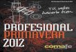 Catálogo Profesional Primavera 2012 Comafe