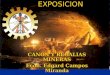 Exposicion sobre-aspectos-legales-en-la-distribucion-canon-en-tacna-1222883431110739-8 (1)