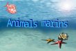 Animals Mar in Sms