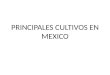 Principales Cultivos en Mexico