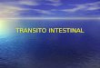 Transito Intestinal