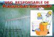 USO RESPONSABLE DE PLAGUICIDAS AGRÍCOLAS - 071211