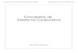 Presentacion Conceptos de Telefonia Corporativa 2009 - Paginas de Notas