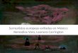 Surrealistas europeas exiliadas en México: Remedios Varo, Leonora Carrington