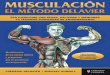 Musculacion El Metodo Delavier