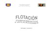 Flotacion - Fundamentos y Aplicaciones (Sergio Castro)(1)