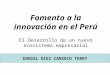 Lima Valley - Innovación y Emprendimiento - Daniel Diez Canseco Terry