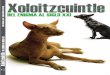 Xoloitzcuintles El Enigma Del Siglo XXI