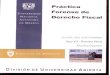 GUIA Practica Forense de Derecho Fiscal Area VII-Derecho Fiscal