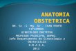 Anatomia Obstetrica