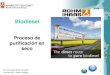 Nasi Juan Martin Proceso de Purificacion en Seco Biodiesel