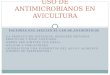 Antimicrobianos en Avicultura
