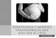 Factores Teratogenicos Parte i