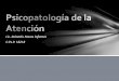 Psicopatología de la atención y concentración - Lic. Rolando Navas