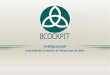 BCockpit Institucional - ES