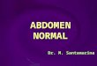 Abdomen Normal