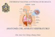 Anatomía Aparato Respiratorio 2012
