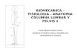 Biomecanica-fisiologia-Anatomia Columna Lumbar Pelvis2