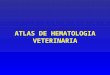 Atlas de Hematologia Veterinaria 2