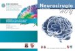 Neurocirugía Hoy, Vol. 5, Numero 17