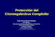 Citomegalovirus congenito evidencia de la inmunoterapia