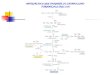 Metabolismo de Aminoacidos - parte 2