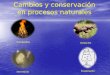 Cambios y conservación en procesos naturales
