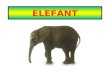 Elefants S