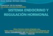 10 - Presentación 10 - Sistema Endocrino