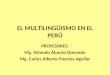 Multilingüismo en el perú