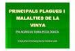 Plagues i Malalties de La Vinya en Agric. Ecol