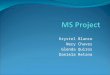 Ms project1