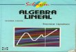 Algebra lineal seymour lipschutz schaum 2 edicion