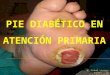 (2012-10-11)Pie diabetico(ppt)