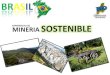 Brasil Caso De MineríA Responsable Biotolima Final