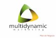 Multidynamic Marketing - Plan de Negocio