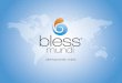 Bless Mundi | Plano de Negocios 2013 | ID: blessmundibr