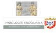 Fisiología Endocrina