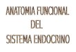 Anatomia Funcional Del Sistema Endocrino