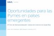 Oportunidades para las Pymes en países emergentes
