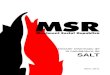 Dossier Informatiu MSR Salt