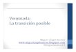 Venezuela: La transición posible