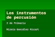 Multimedia-Los instrumentos de percusión