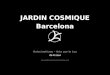 JARDIN COSMIQUE-Presentacion Power Point