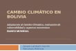 Cambio climático en Bolivia. Adaptación al Cambio Climático, evaluación de vulnerabilidad y aspectos económicos. Álvaro Lambert