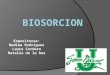 Biosorcion (1)