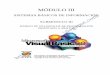 Modulo III   Visual Basic 6
