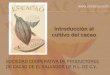 Presentación feria cacao 2014 (1)