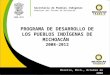 Programa de desarrollo de los pueblos indígenas de michoacán