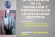 La influencia de la redacción y ortografía en la secretaria ejecutiva, Melissa Quiñonez y Carolina Deudor